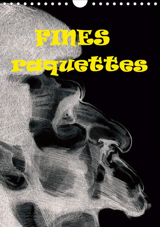 Fines raquettes 2020: Douze portraits forces de championnes et champions internationnaux de tennis. (Calvendo Sportif) (French Edition)