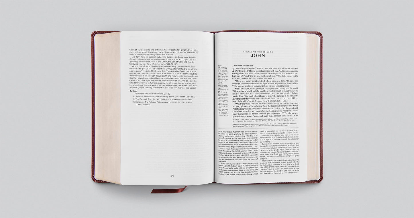 ESV Gospel Transformation Study Bible: Christ in All of Scripture, Grace for All of Life® (TruTone, Chestnut)