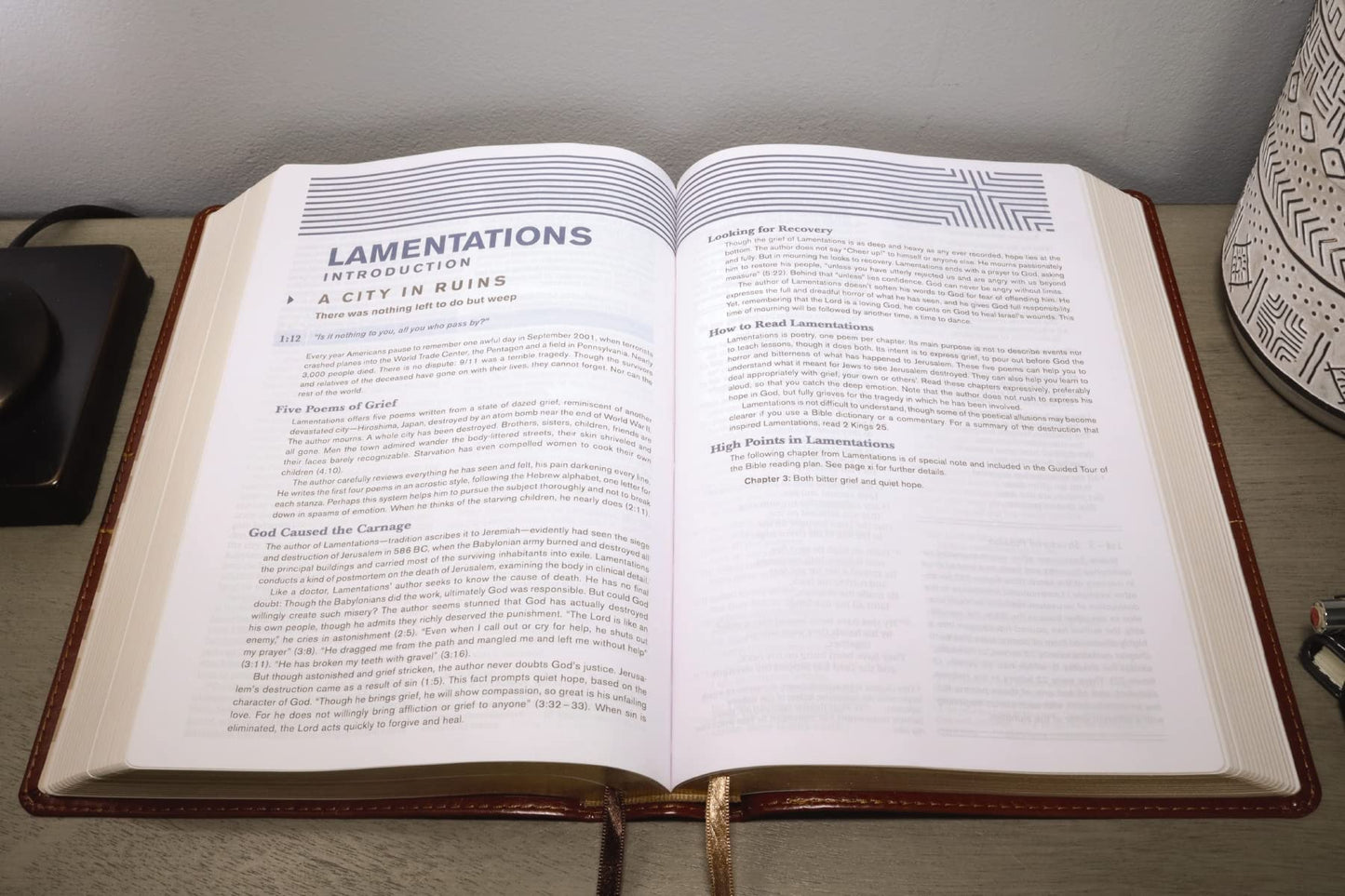 NIV, Student Bible, Leathersoft, Brown, Comfort Print