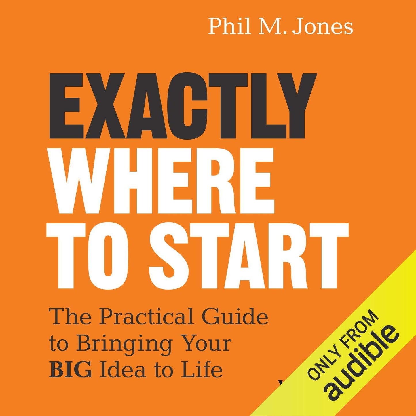 Exactly Where to Start: The Practical Guide to Turn Your Big Idea into Reality