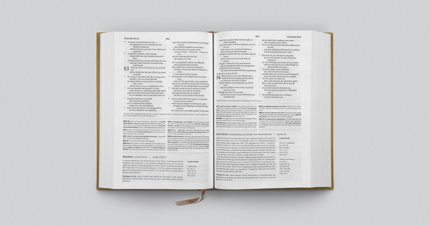 ESV Systematic Theology Study Bible: Theology Rooted in the Word of God (Cloth over Board, Ochre)