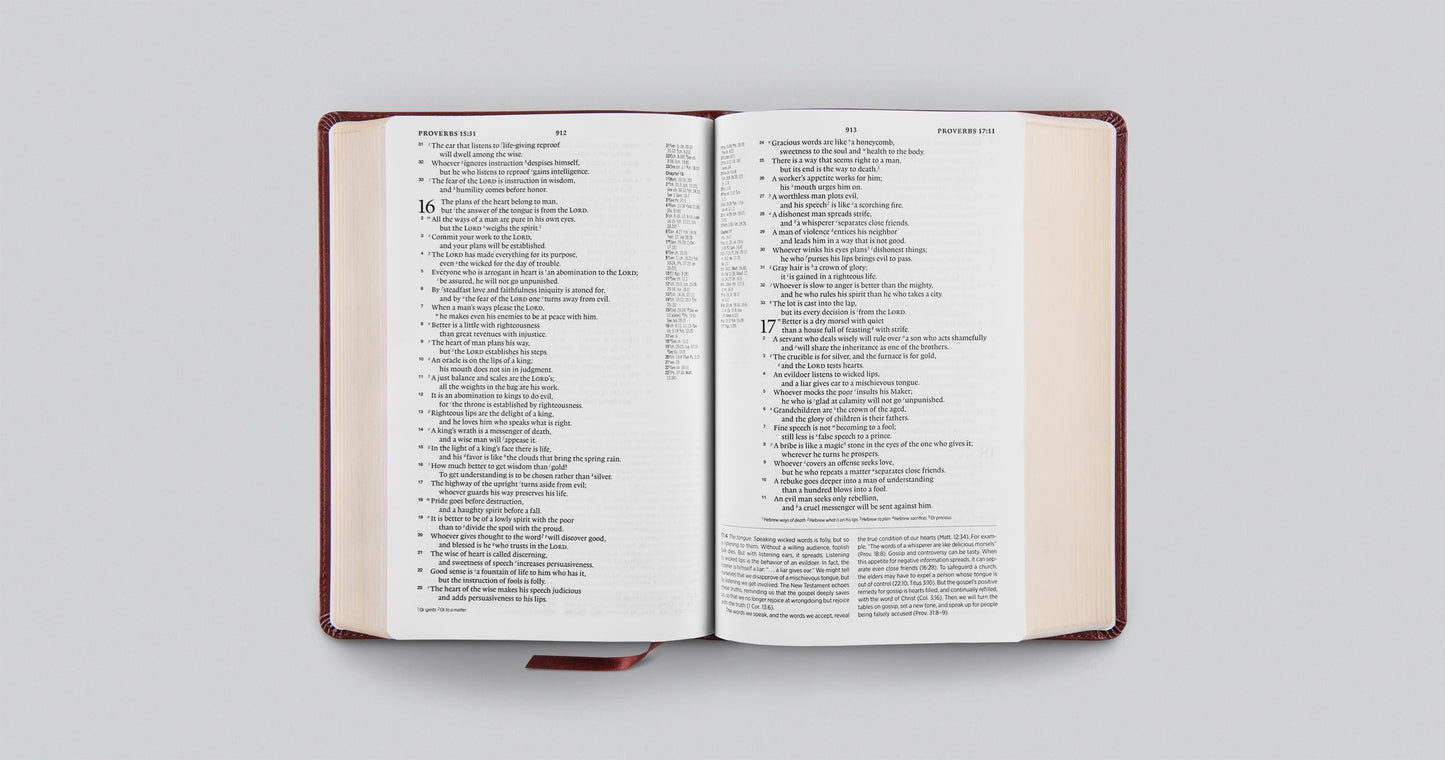 ESV Gospel Transformation Study Bible: Christ in All of Scripture, Grace for All of Life® (TruTone, Chestnut)