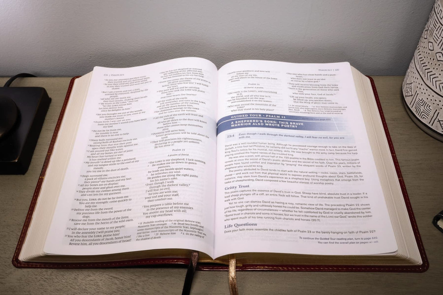 NIV, Student Bible, Leathersoft, Brown, Comfort Print