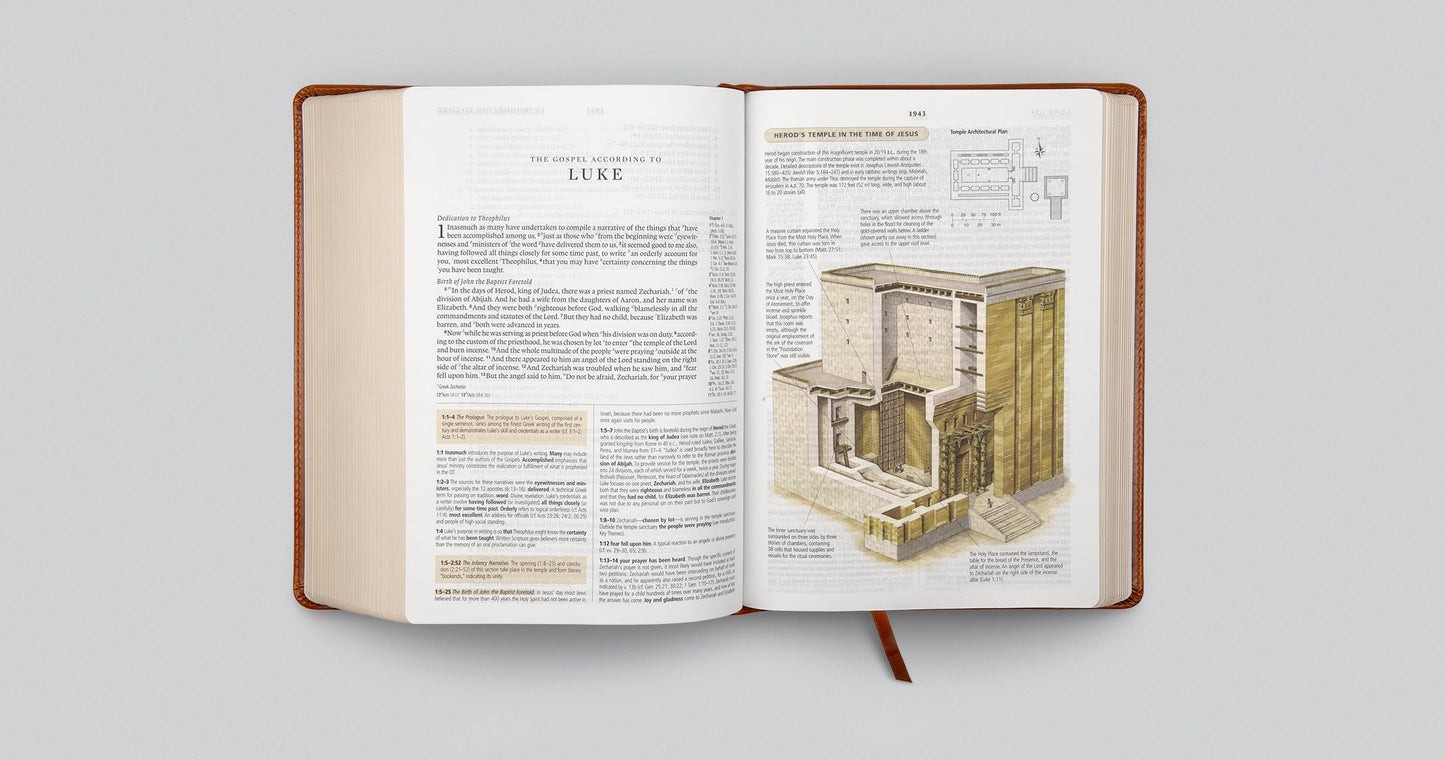 ESV Study Bible (TruTone, English Saddle, Ornament Design): Holy Bible, English Standard Version