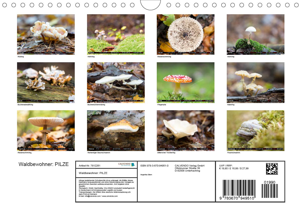 Evasion dans l'imaginaire 2020: Mon imagination se materialise dans un jeu abstrait plein de couleur, joie et harmonie qui me ramene dans le monde de l'enfance. (Calvendo Art) (French Edition)