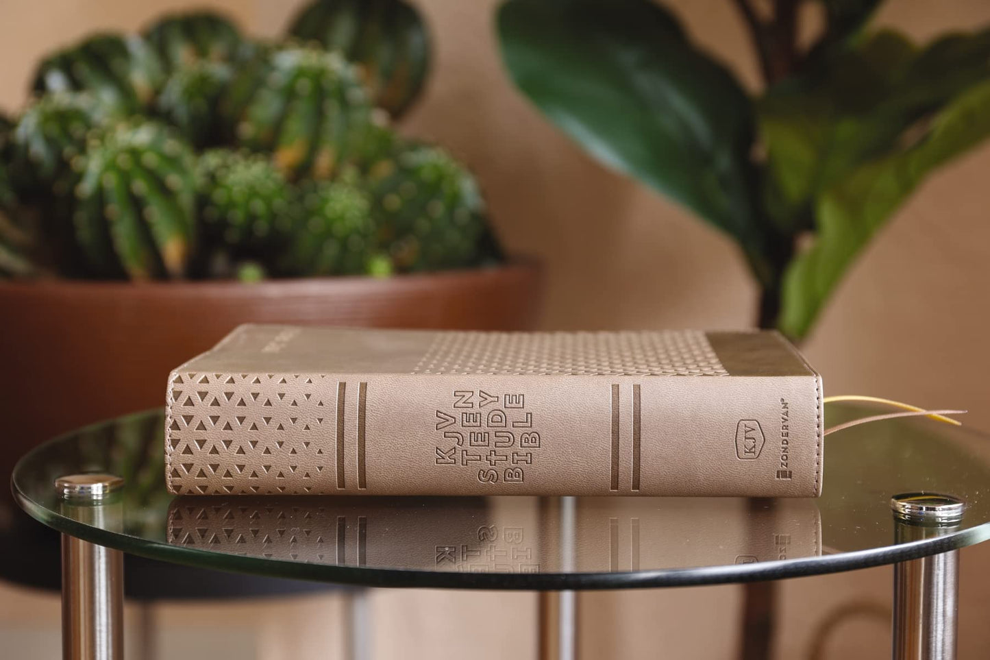 KJV, Teen Study Bible, Leathersoft, Brown, Comfort Print