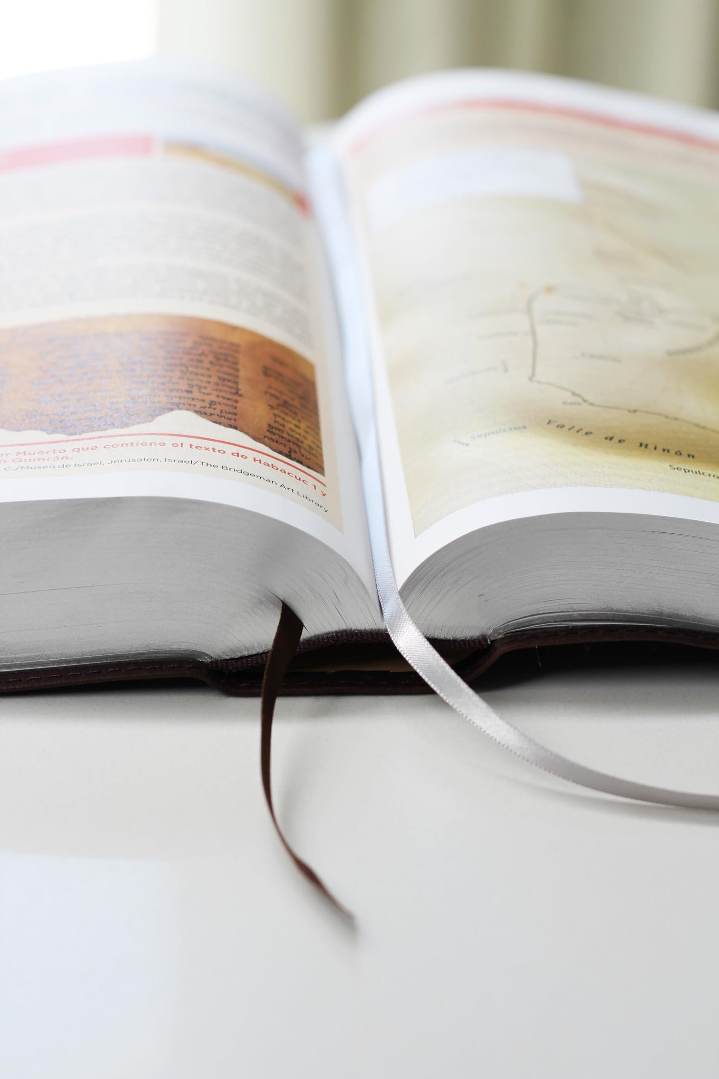 NVI, Biblia de Estudio actualizada, Revisión 2022, Leathersoft, Café, Letra grande, Interior a color, Palabras de Jesús en Rojo, con Índice, Comfort Print (Spanish Edition)