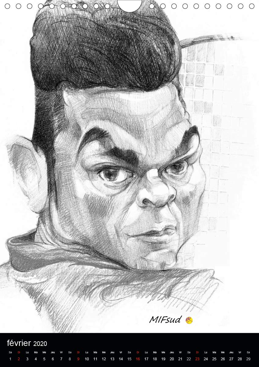 Fines raquettes 2020: Douze portraits forces de championnes et champions internationnaux de tennis. (Calvendo Sportif) (French Edition)