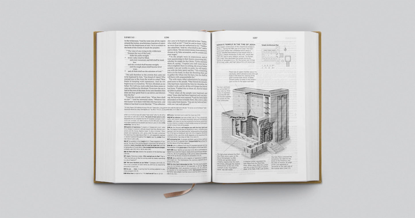 ESV Systematic Theology Study Bible: Theology Rooted in the Word of God (Cloth over Board, Ochre)