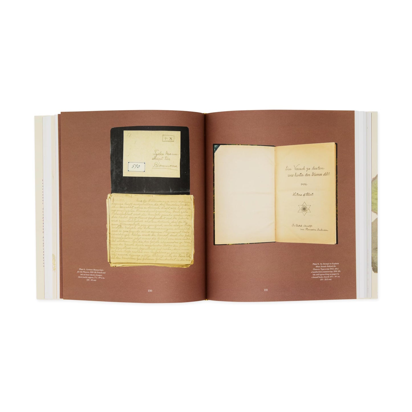 Hilma af Klint: What Stands Behind the Flowers