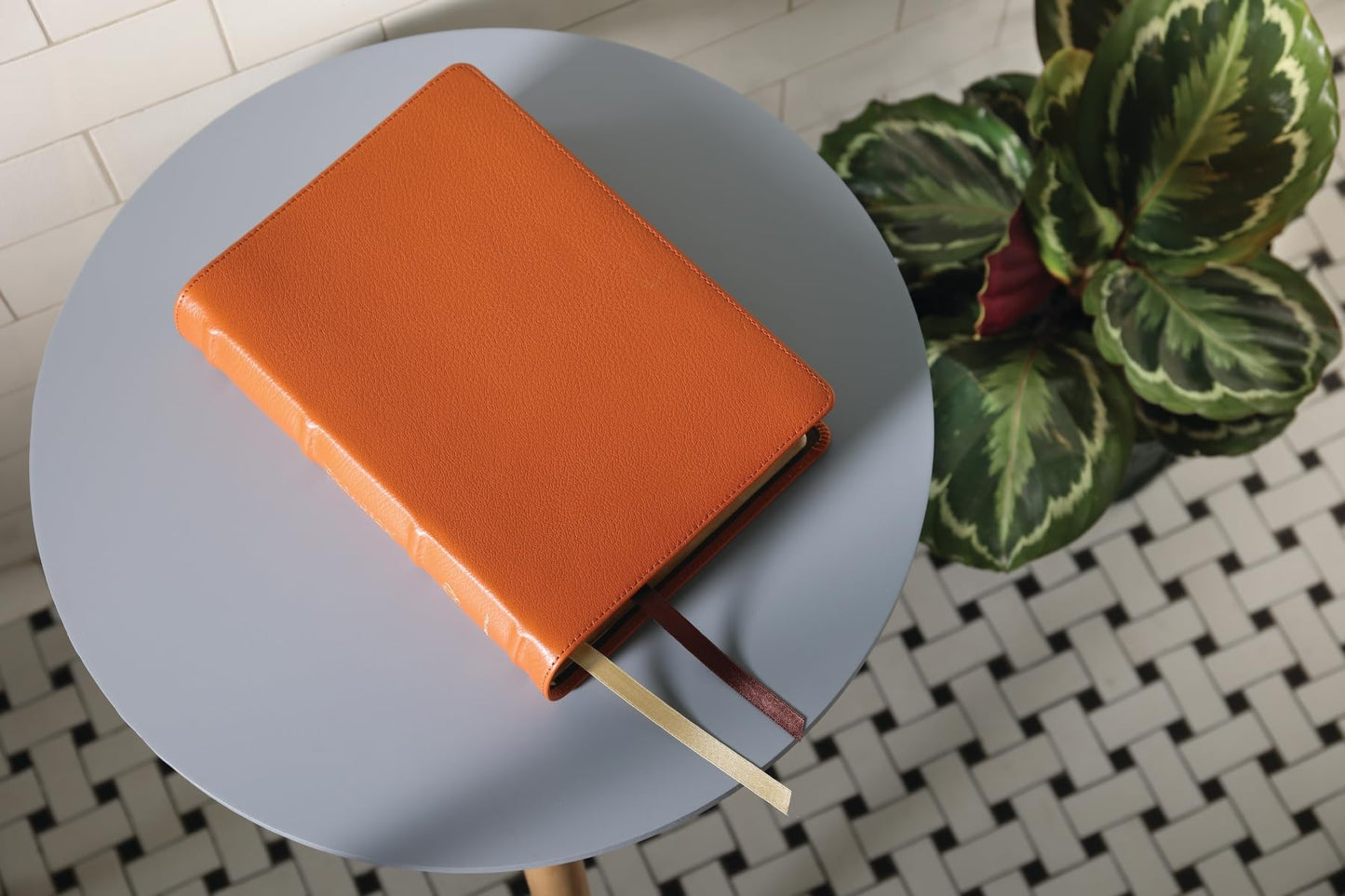 ESV, Thompson Chain-Reference Bible, Genuine Leather, Calfskin, Tan, Red Letter