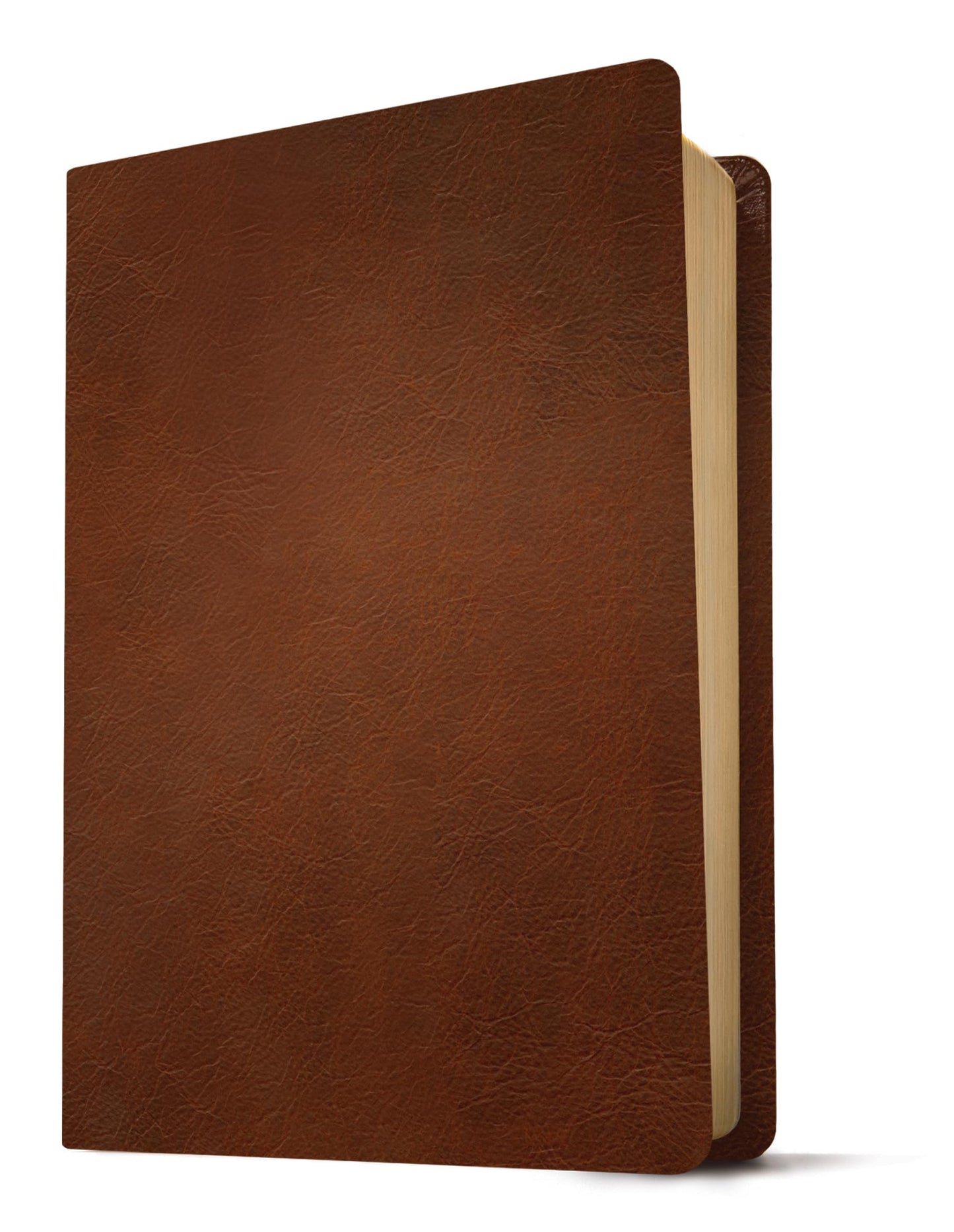 NLT Personal Size Giant Print Bible, Filament Enabled (Genuine Leather, Brown, Red Letter): Includes Free Access to the Filament Bible App Delivering Study Notes, Devotionals, Worship Music, and Video
