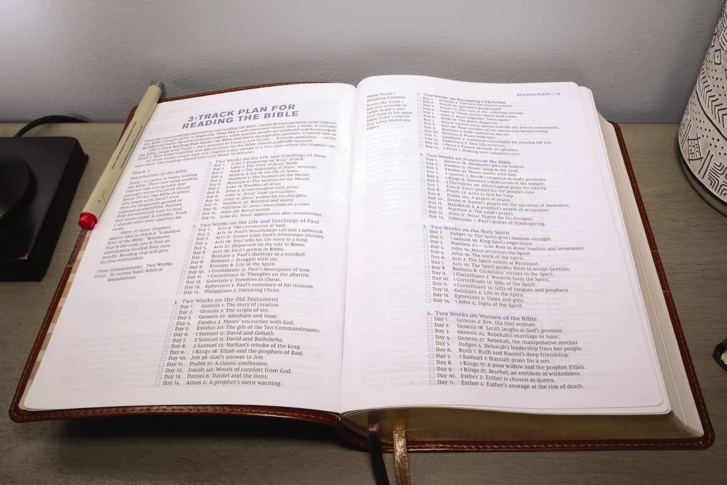 NIV, Student Bible, Leathersoft, Brown, Comfort Print