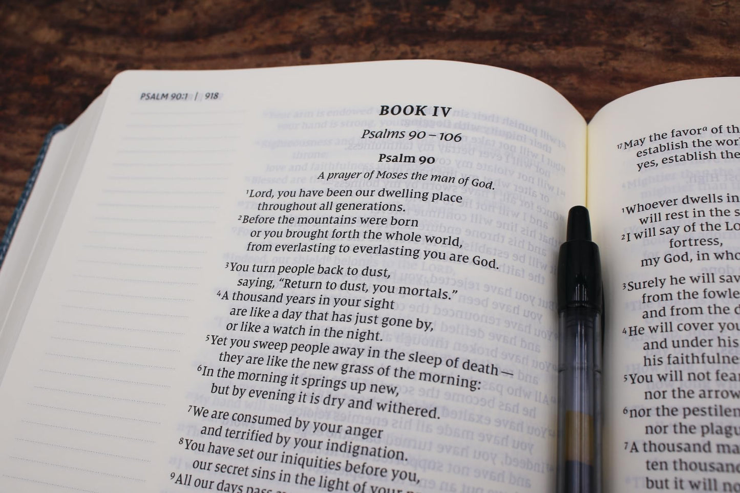 NIV, Journal the Word Bible (Perfect for Note-Taking), Large Print, Leathersoft, Teal, Red Letter, Comfort Print: Reflect, Take Notes, or Create Art Next to Your Favorite Verses