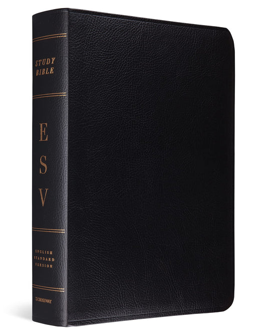 ESV Study Bible (Bonded Leather, Black)