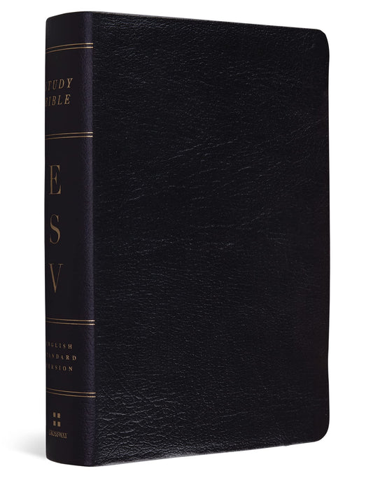 ESV Study Bible, Personal Size (Black)