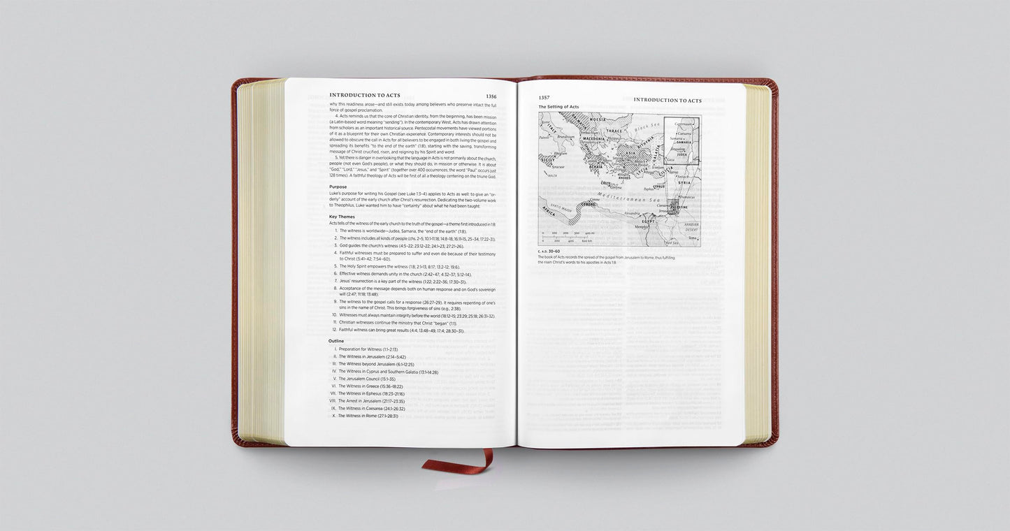 ESV Systematic Theology Study Bible: Theology Rooted in the Word of God (TruTone, Chestnut)