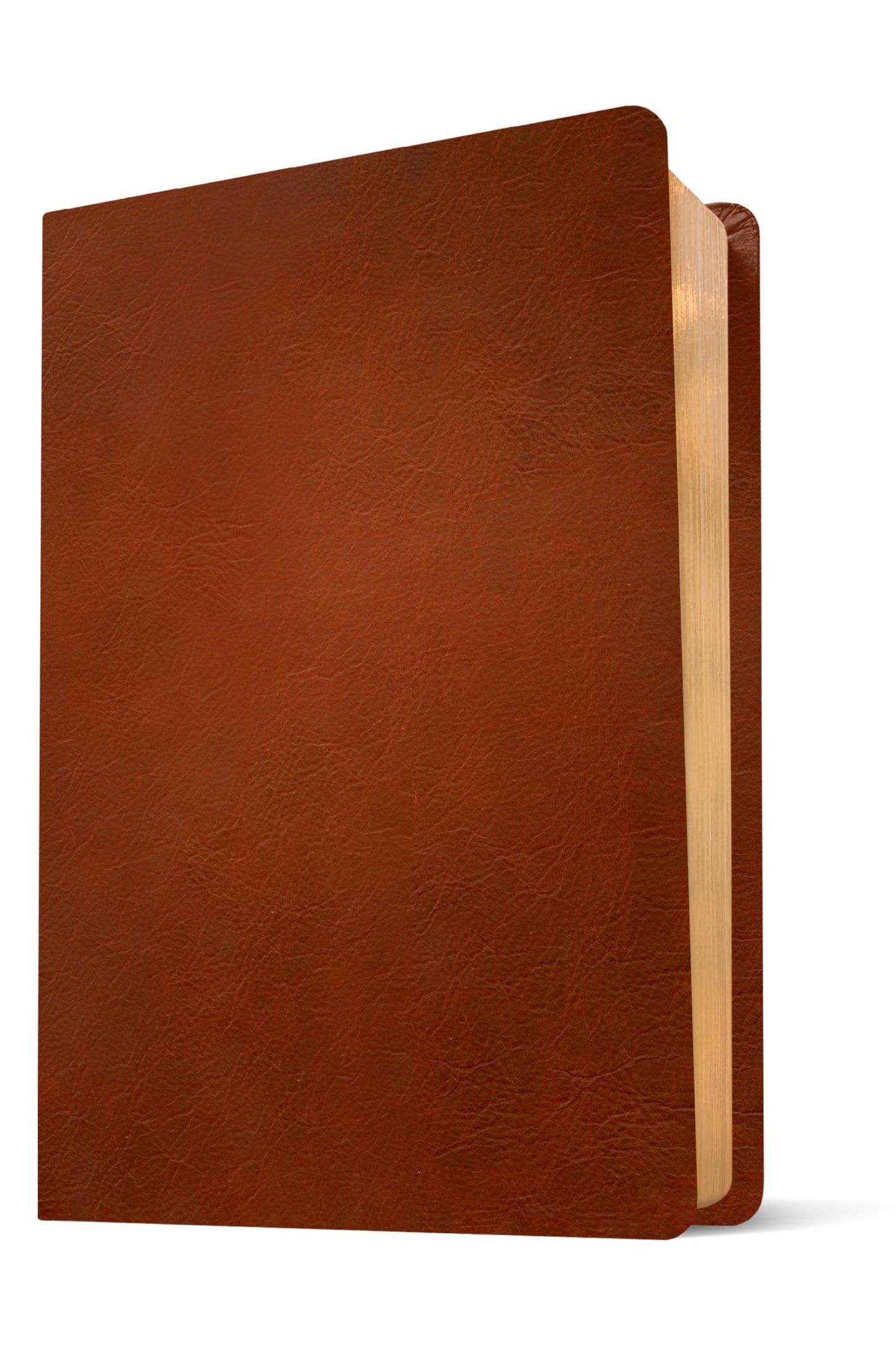 NLT Courage For Life Study Bible for Women, Filament Enabled (Genuine Leather, Brown)