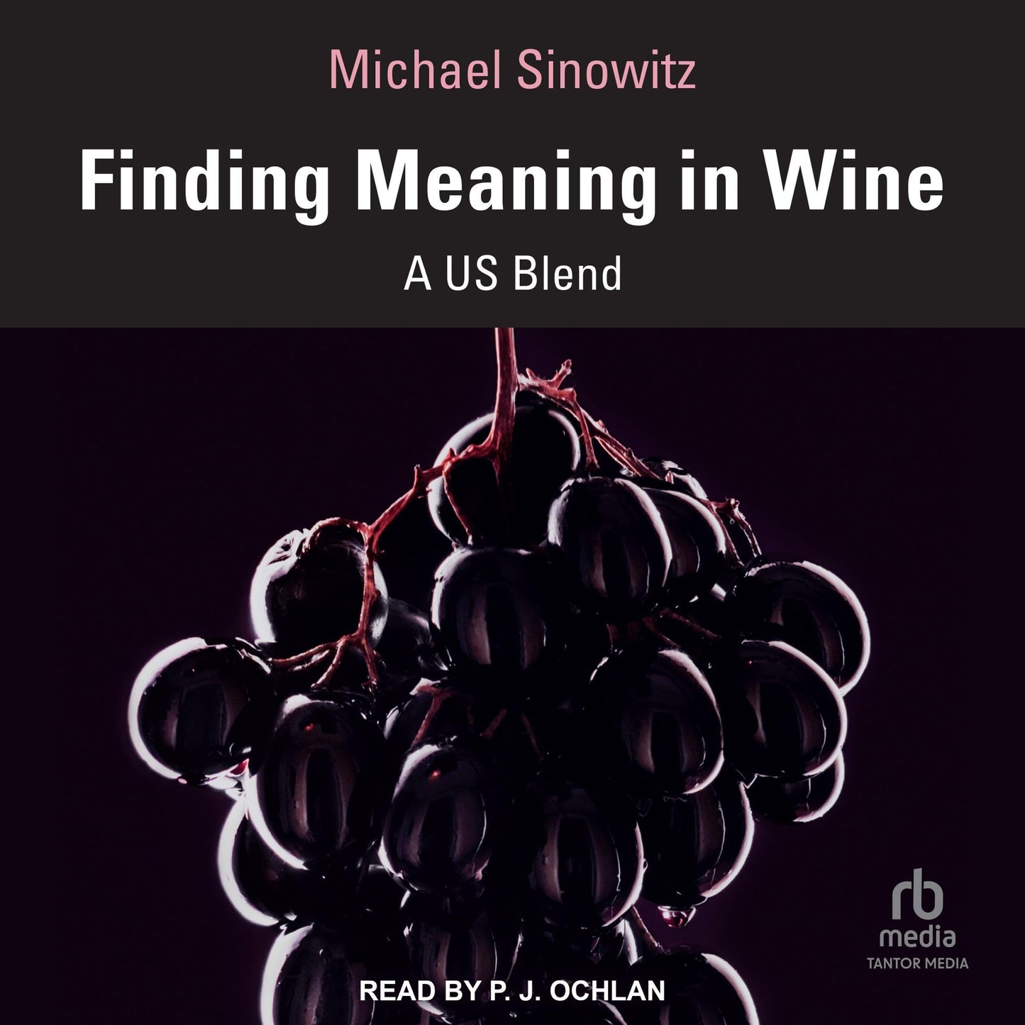 Finding Meaning in Wine: A US Blend: Routledge Food Studies