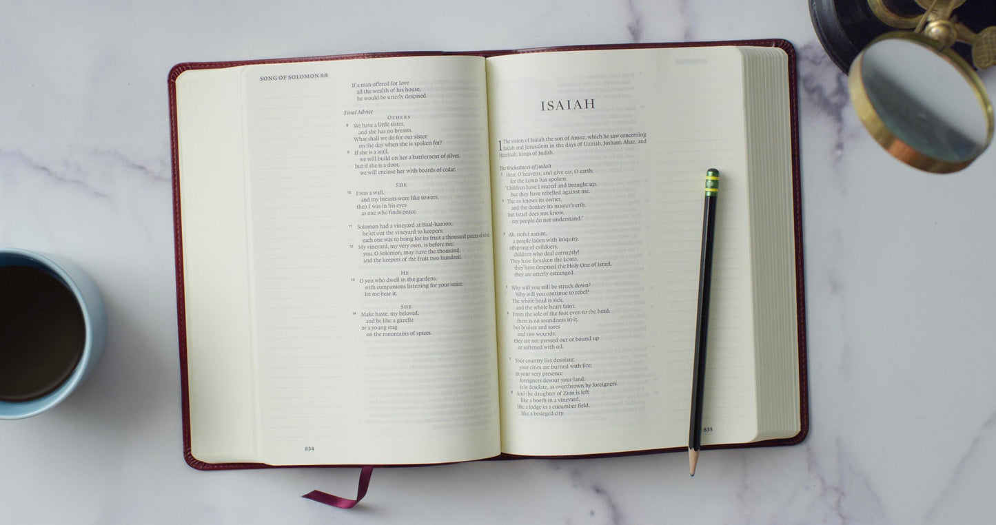 ESV Single Column Journaling Bible, Large Print (TruTone, Burgundy/Red, Timeless Design): Holy Bible, English Standard Version