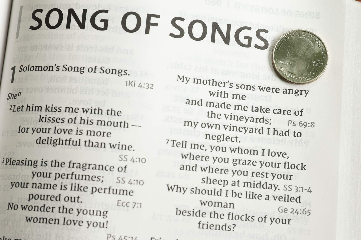 NIV, Reference Bible, Giant Print, Bonded Leather, Burgundy, Red Letter, Comfort Print