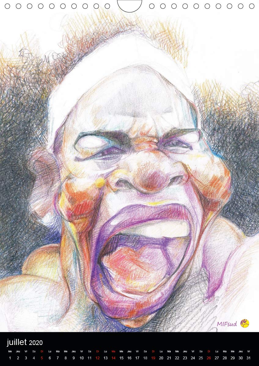 Fines raquettes 2020: Douze portraits forces de championnes et champions internationnaux de tennis. (Calvendo Sportif) (French Edition)