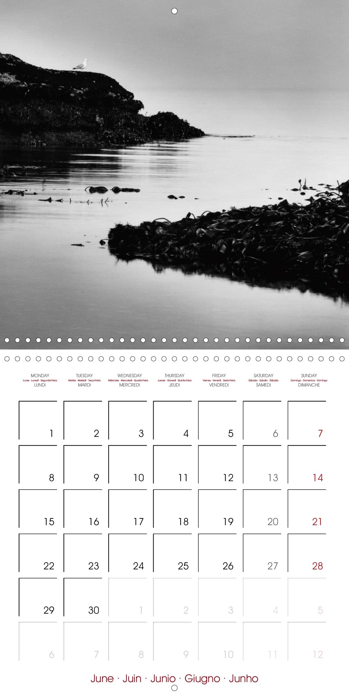 Etretat, de fil en aiguille 2020: Un voyage poetique au pied des falaises d'Etretat (Calvendo Places) (French Edition)