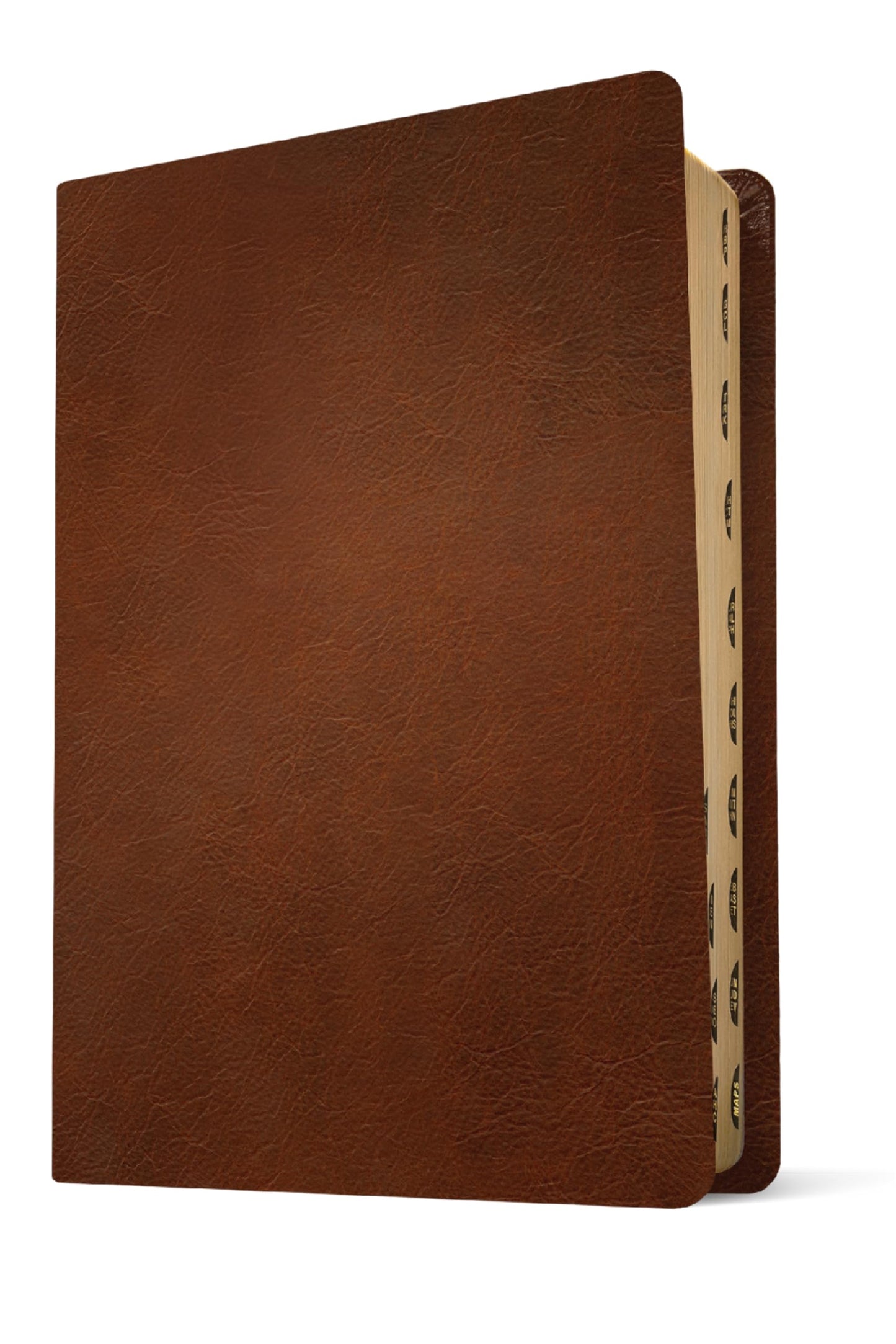 NLT Personal Size Giant Print Bible, Filament Enabled (Genuine Leather, Brown, Indexed, Red Letter): Includes Free Access to the Filament Bible App ... Notes, Devotionals, Worship Music, and Video