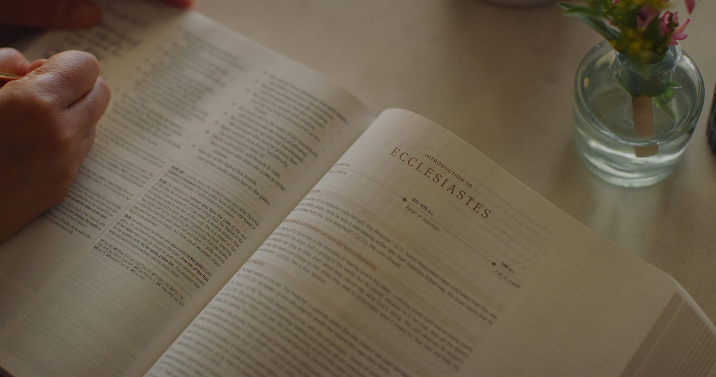 ESV Journaling Study Bible (Natural Leather, Brown, Flap with Strap): Holy Bible, English Standard Version