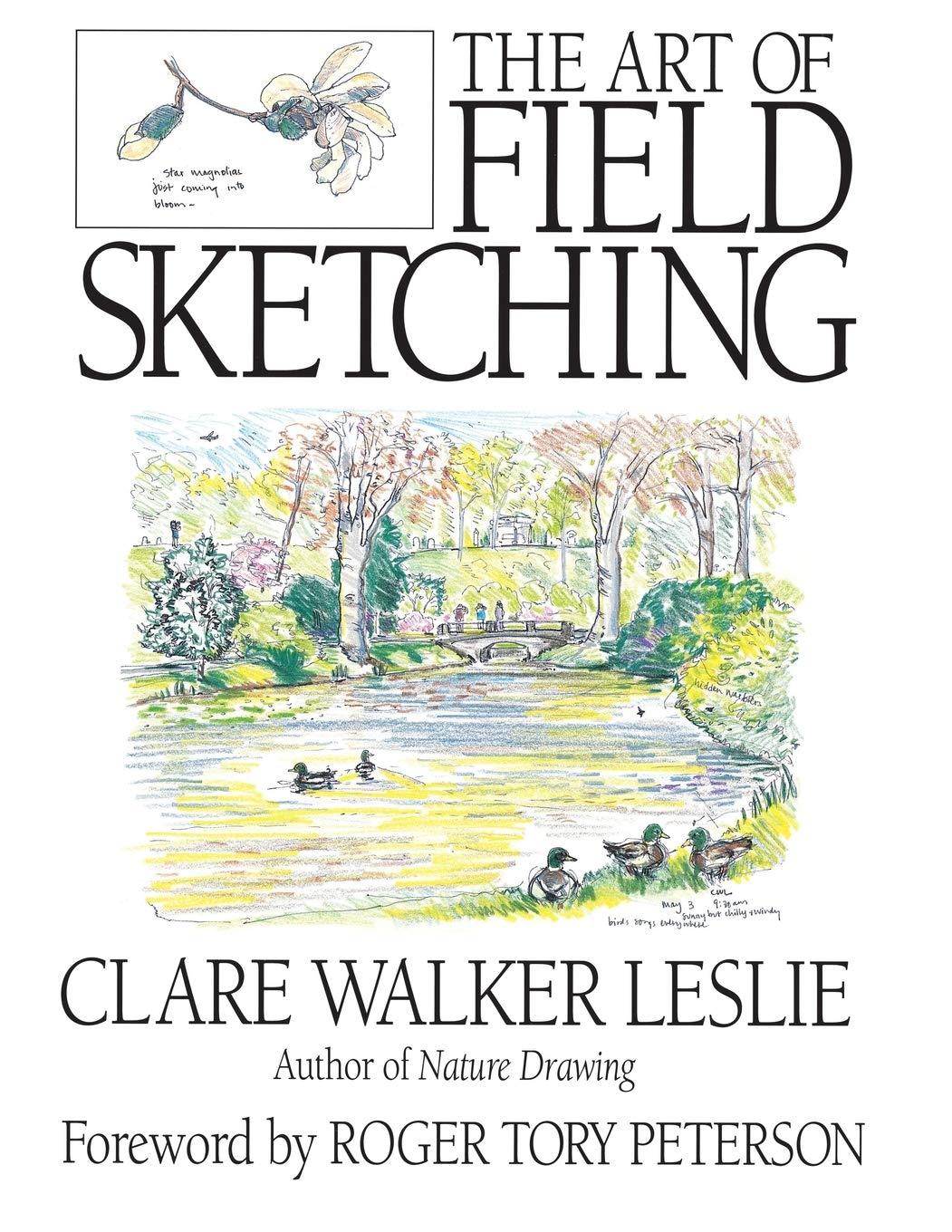Field Sketching