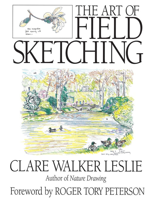 Field Sketching
