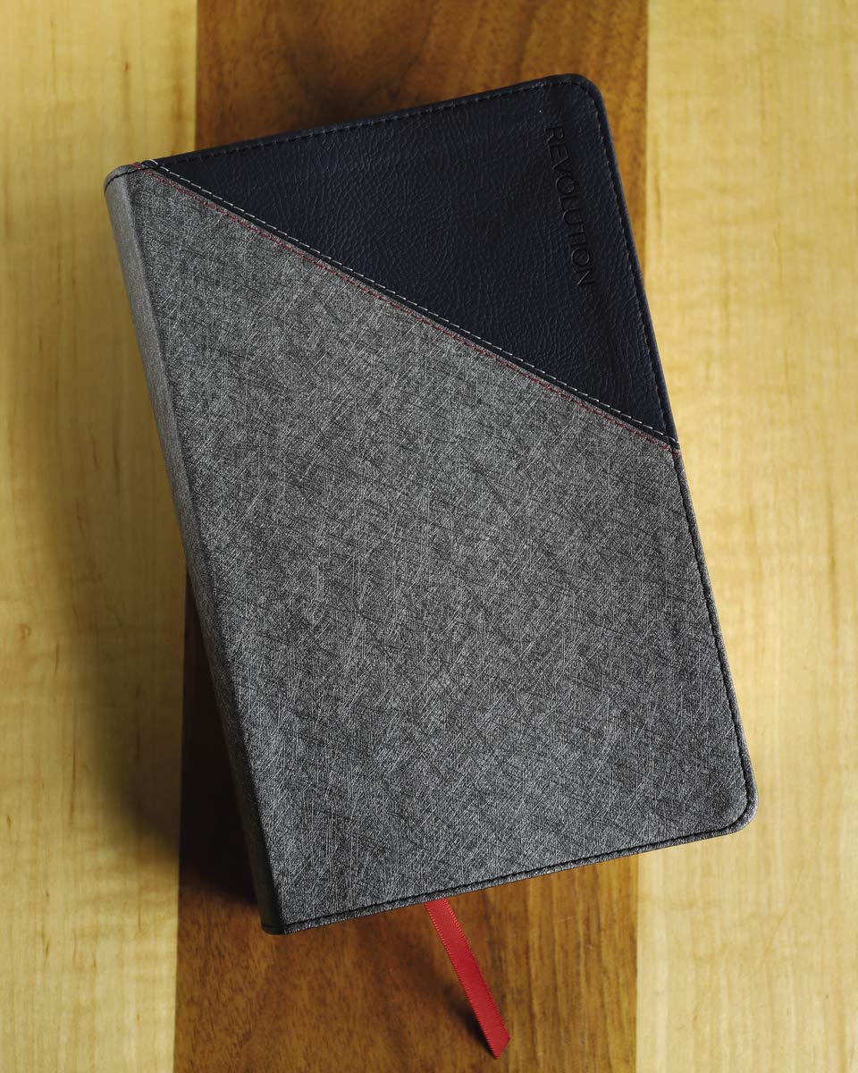 NIV, Revolution Bible, Leathersoft, Gray/Navy: The Bible for Teen Guys