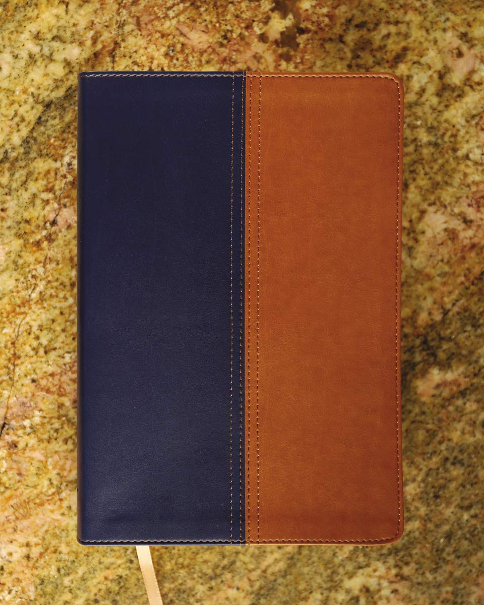 NIV, KJV, Parallel Bible, Large Print, Leathersoft, Navy/Tan: The World's Two Most Popular Bible Translations Together