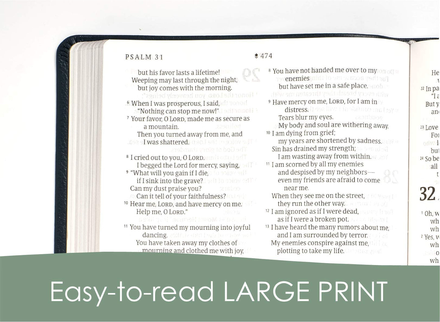 NLT Large Print Thinline Reference Holy Bible (Red Letter, Genuine Leather, Black): Includes Free Access to the Filament Bible App Delivering Study Notes, Devotionals, Worship Music, and Video