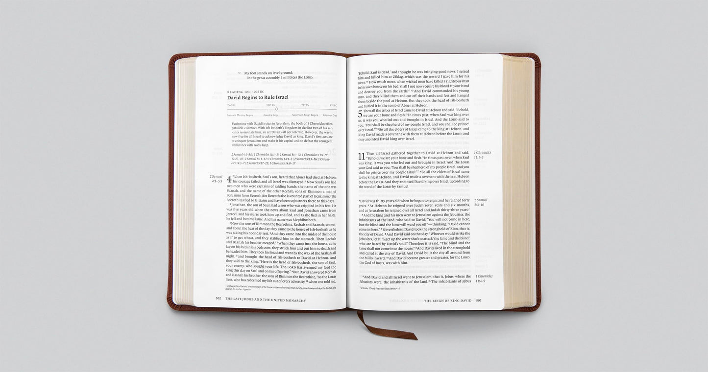 ESV Chronological Bible (TruTone, Brown): Holy Bible, English Standard Version