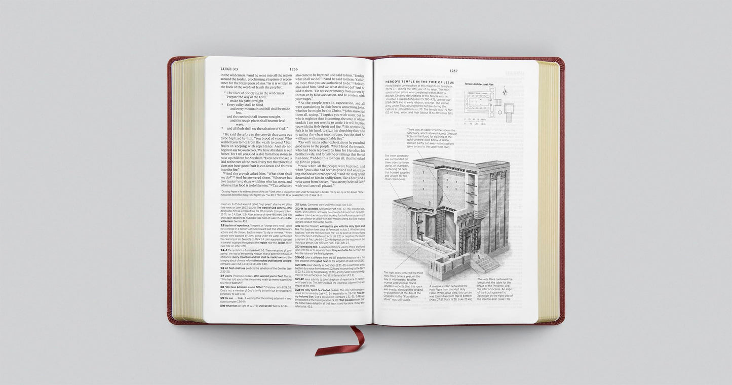 ESV Systematic Theology Study Bible: Theology Rooted in the Word of God (TruTone, Chestnut)