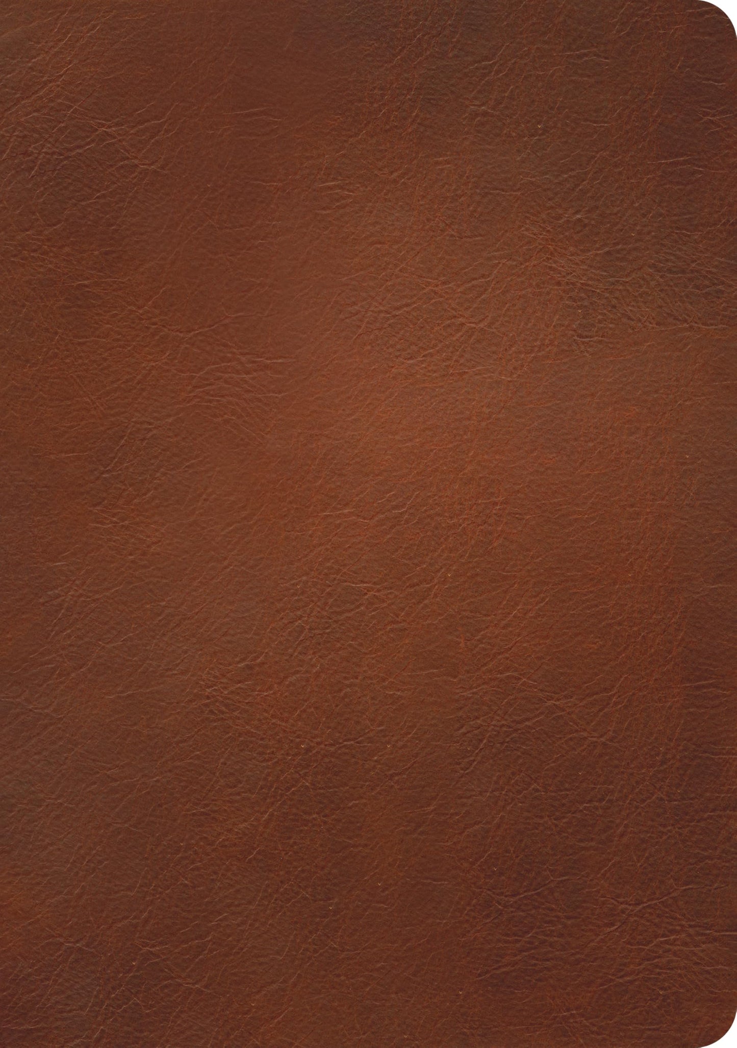 NLT Courage For Life Study Bible for Women, Filament Enabled (Genuine Leather, Brown, Indexed)