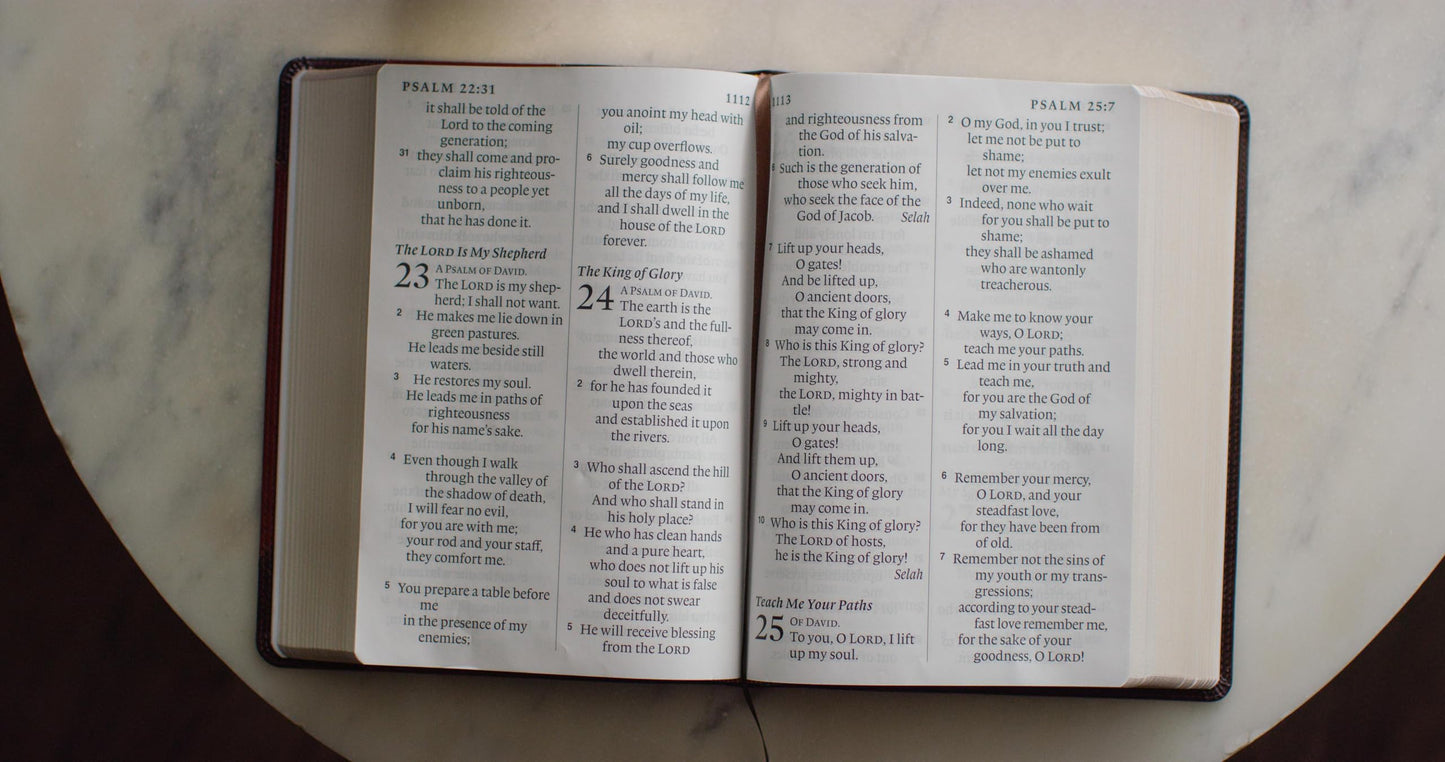 ESV Super Giant Print Bible (TruTone, Brown/Cordovan, Portfolio Design): Holy Bible, English Standard Version