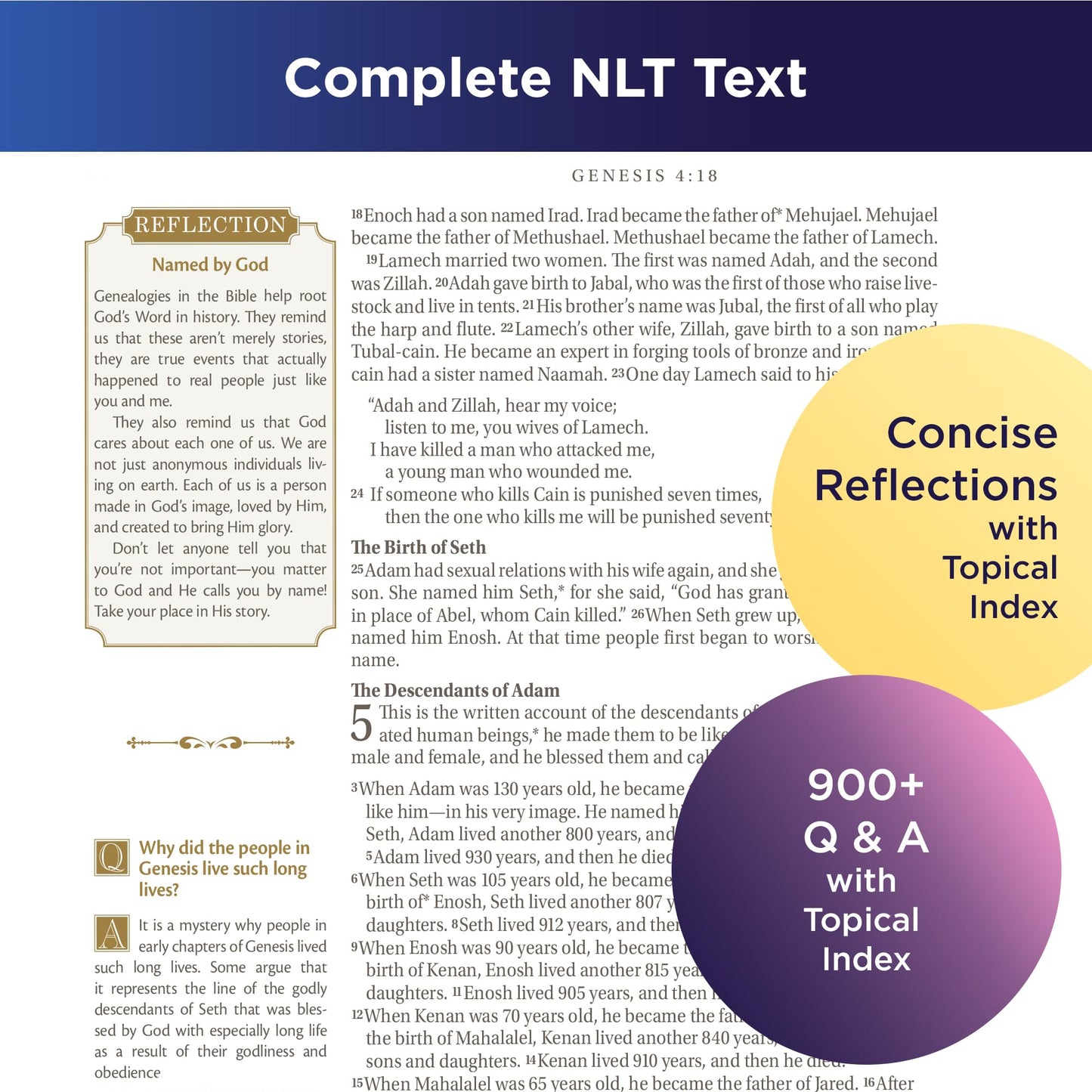 NLT Family Heritage Bible, Large Print Family Heirloom Devotional Bible for Study, New Living Translation Holy Bible Vegan Leather Hardcover, ... Content, White (NLT Family Heritage Editions)