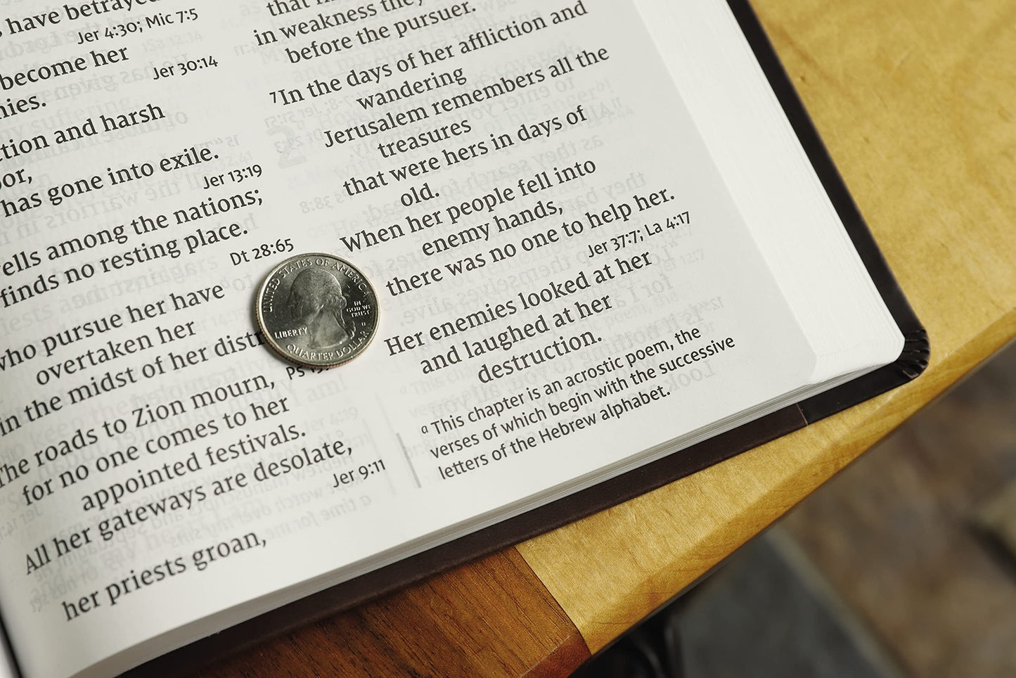 NIV, Super Giant Print Reference Bible (Font Size: 16.5-point), Leathersoft, Brown, Red Letter, Thumb Indexed, Comfort Print