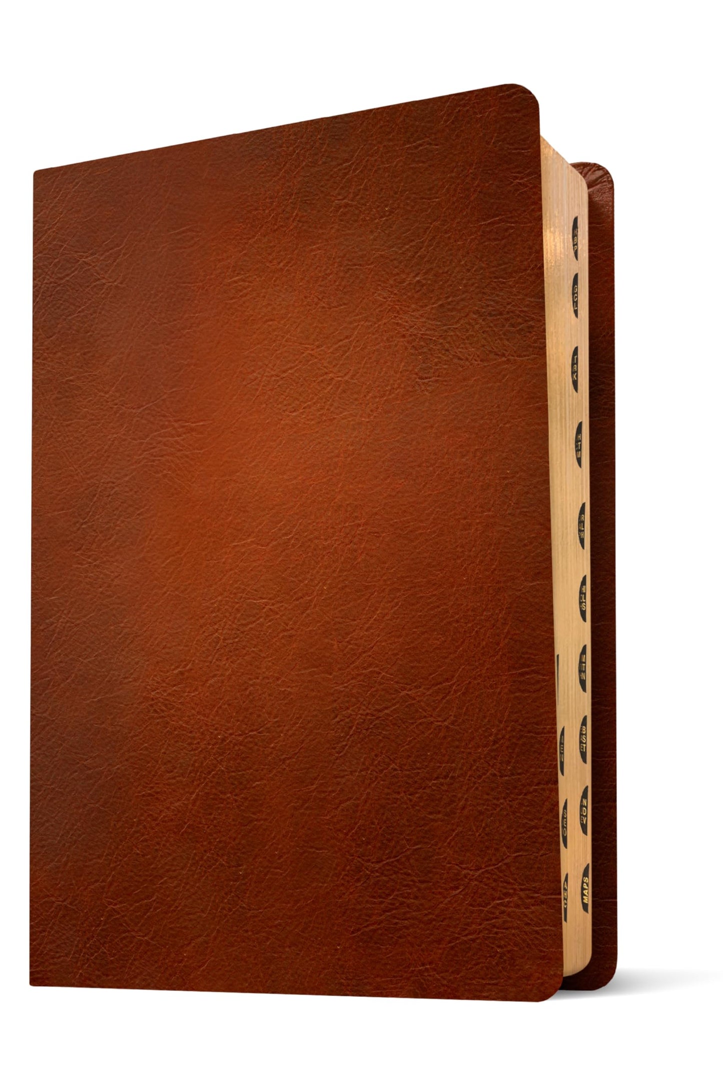 NLT Courage For Life Study Bible for Women, Filament Enabled (Genuine Leather, Brown, Indexed)