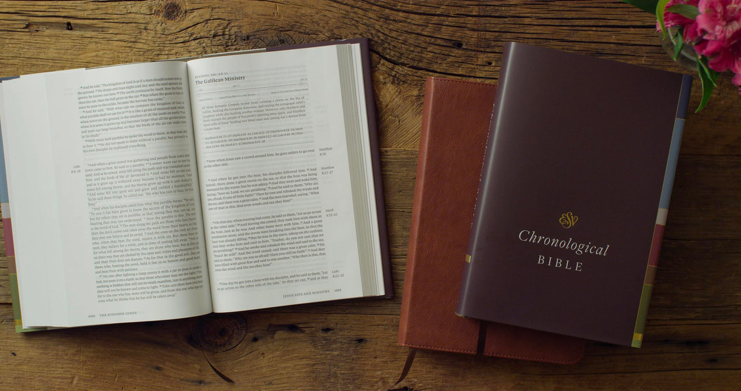 ESV Chronological Bible (TruTone, Paris Sky, Fleur-de-lis Design): Holy Bible, English Standard Version