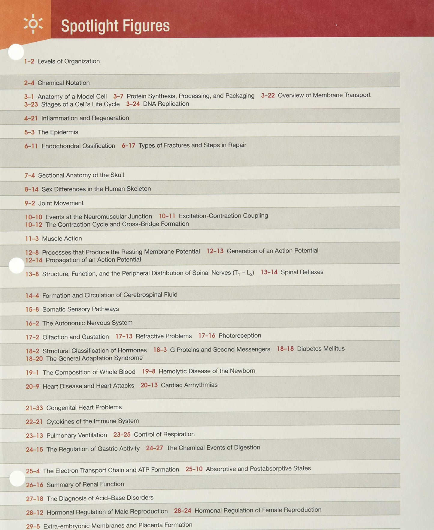 Fundamentals of Anatomy & Physiology