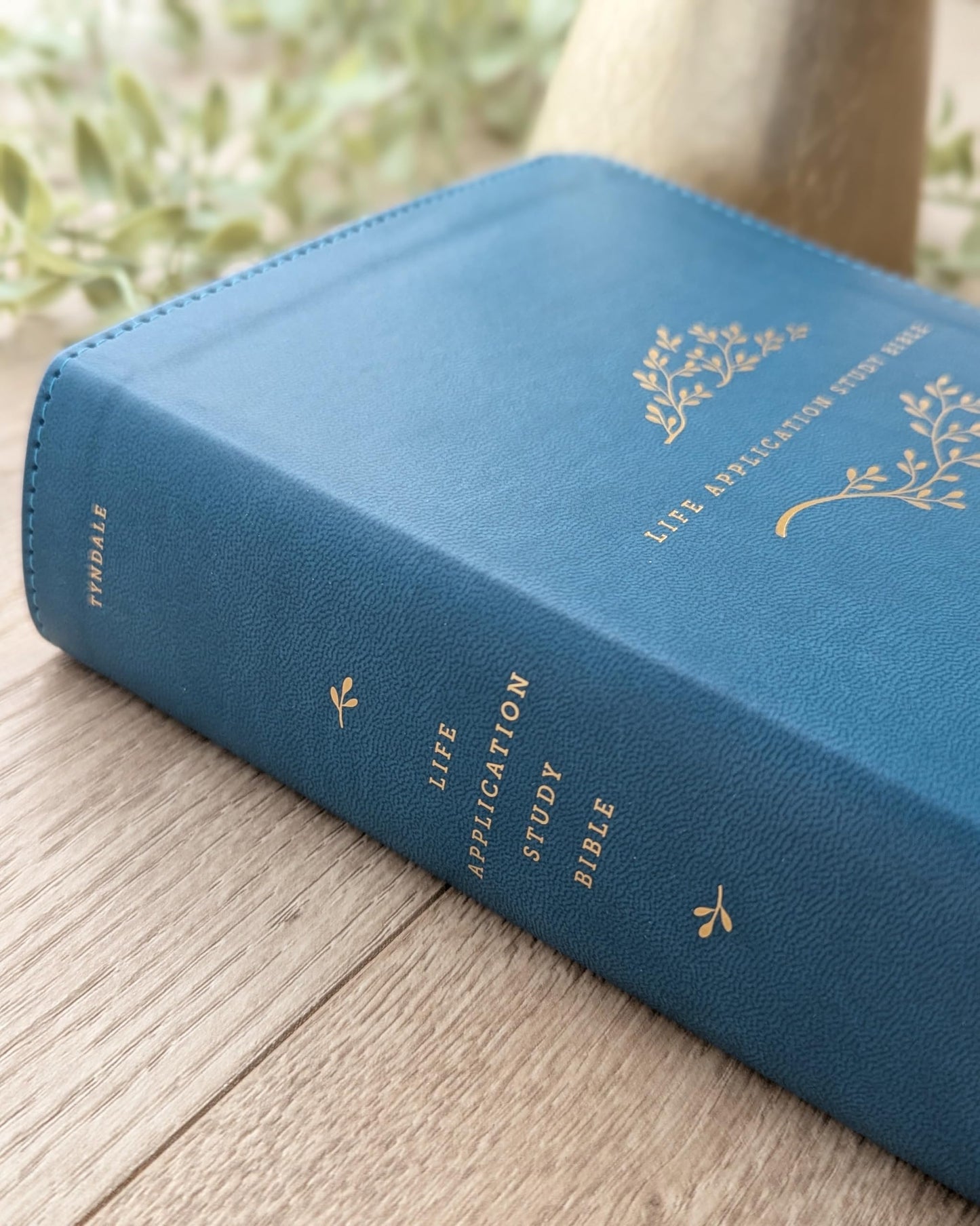 NLT Life Application Study Bible, Third Edition, Personal Size (LeatherLike, Teal Blue, Indexed, Red Letter)