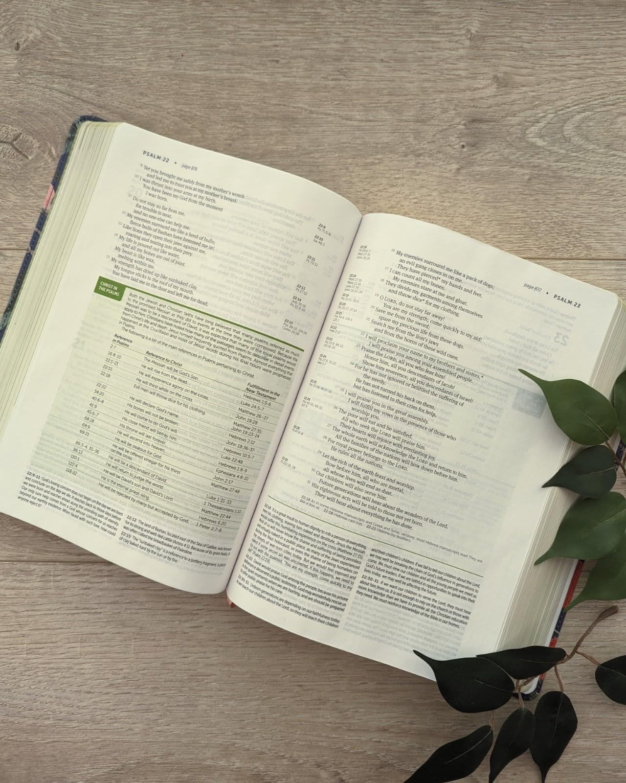 NLT Life Application Study Bible, Third Edition (LeatherLike, Pink Evening Bloom, Red Letter)