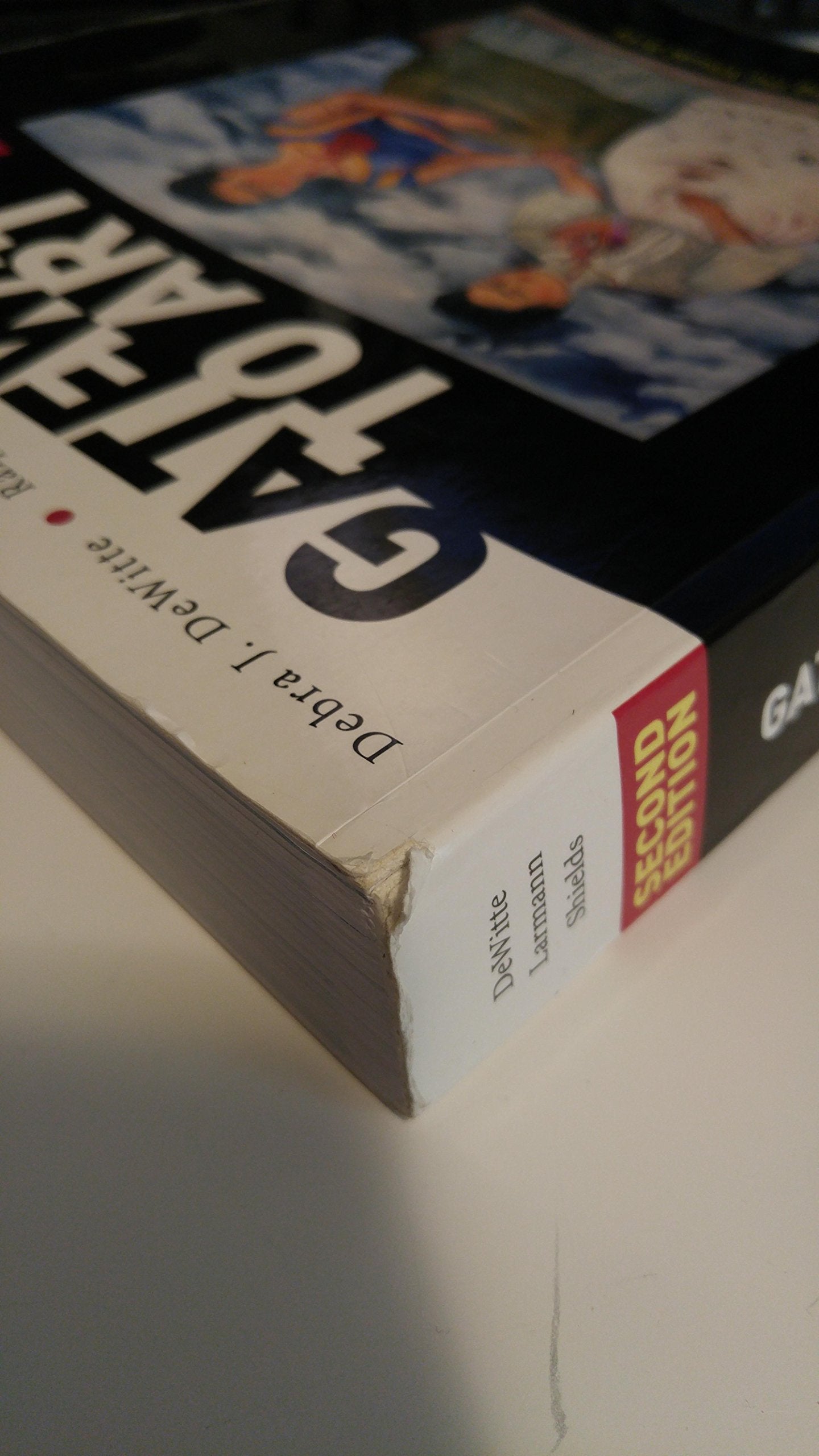 Gateways to Art: Understanding the Visual Arts