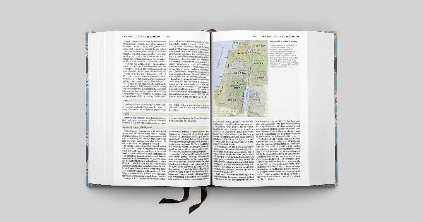 ESV Study Bible, Artist Series (Cloth over Board, Jessica Dennis Bush, Interlude): Holy Bible, English Standard Version