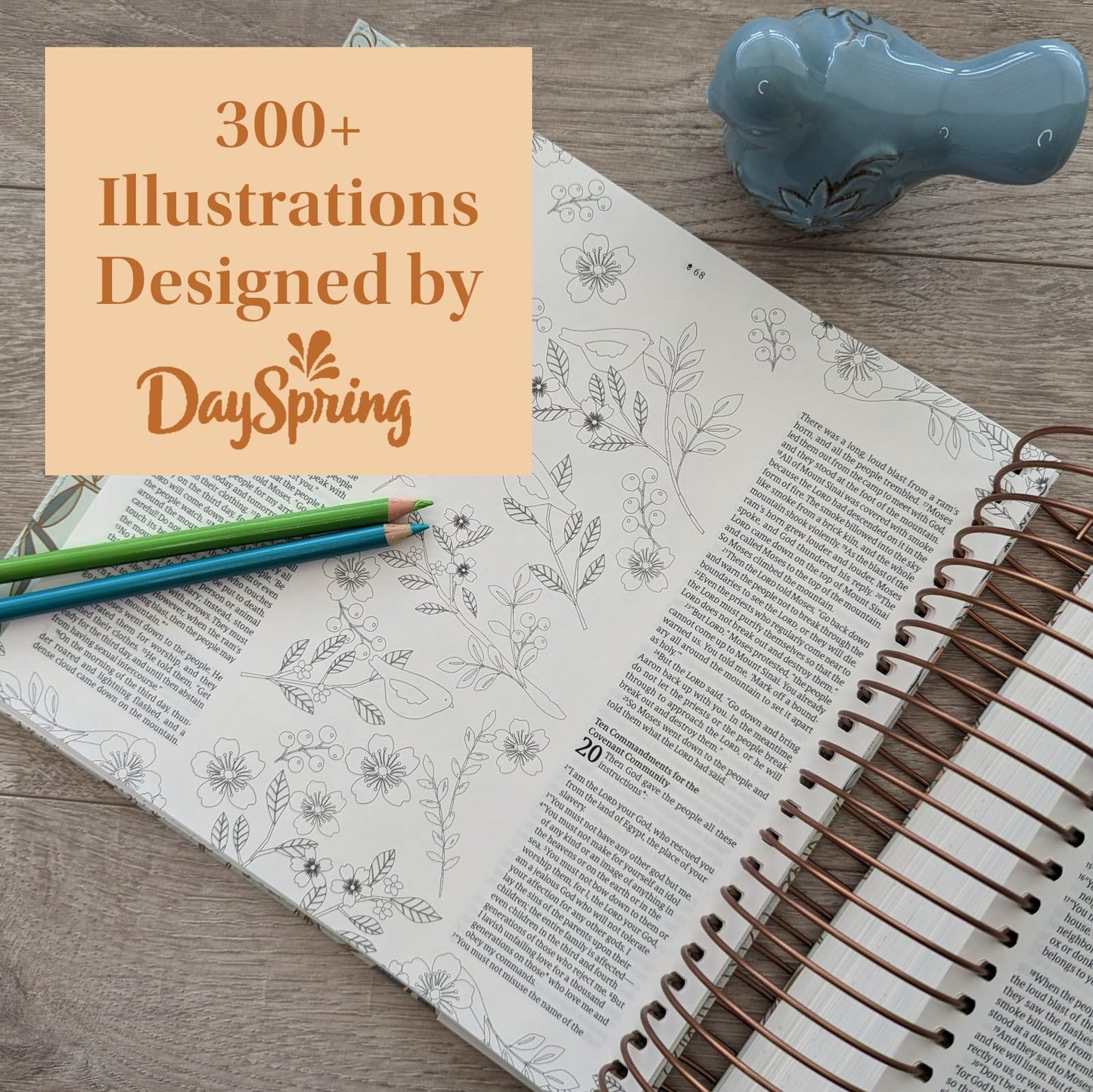 NLT DaySpring Inspire Illustrating Bible, Filament Enabled (Spiral Bound, Mint Floral Garden)