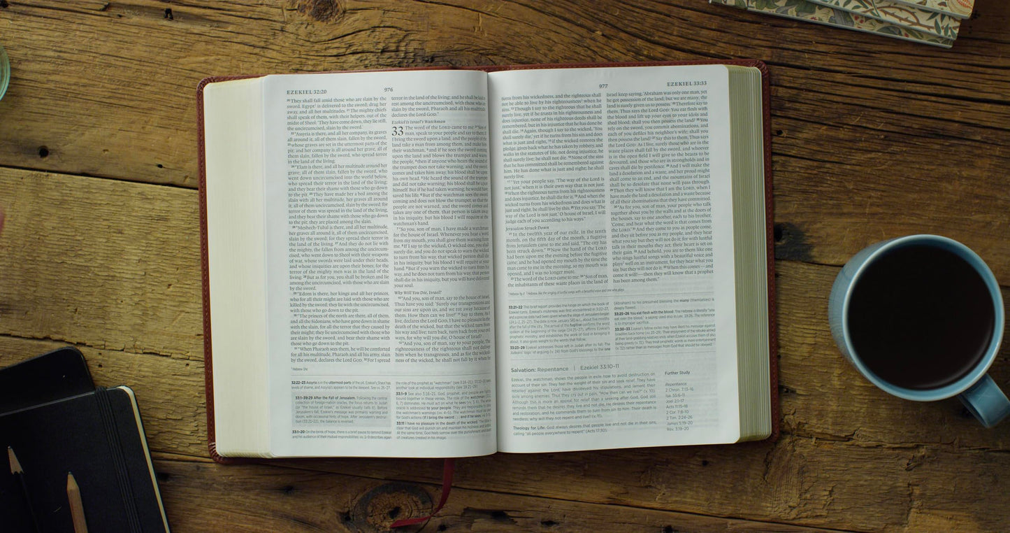 ESV Systematic Theology Study Bible: Theology Rooted in the Word of God (TruTone, Chestnut)