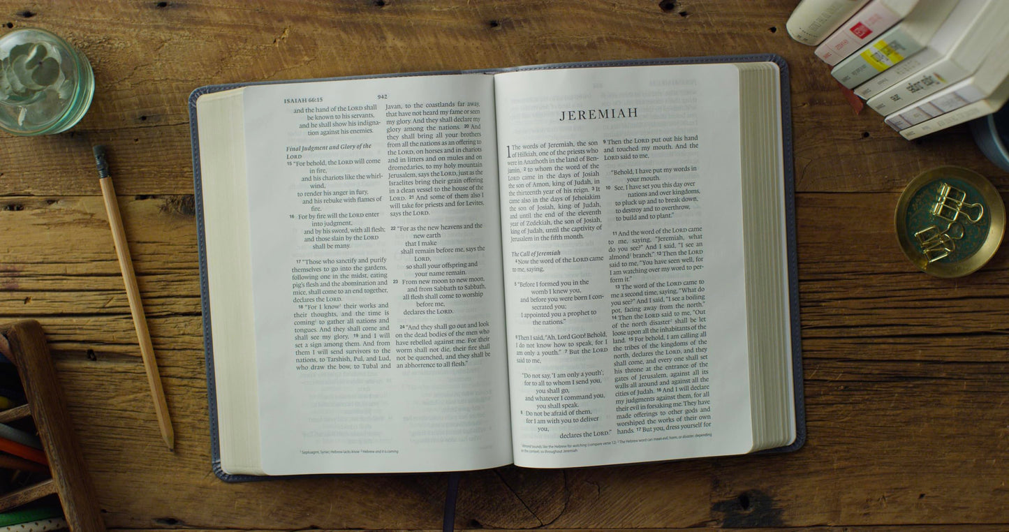 ESV Large Print Wide Margin Bible (TruTone, Slate Blue, Ornament Design): Holy Bible, English Standard Version